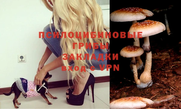прущий лед Арсеньев